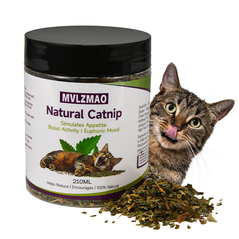 Herbal Wellness Products - Mainan kucing-silvervine Catnip untuk kucing, 100%
