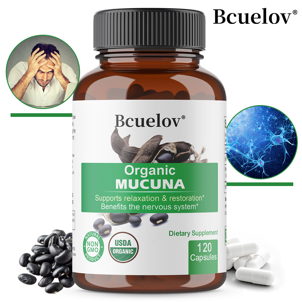 Kapsul Mucuna Organik - Menduk - Herbal Wellness Water ulasan dan harga