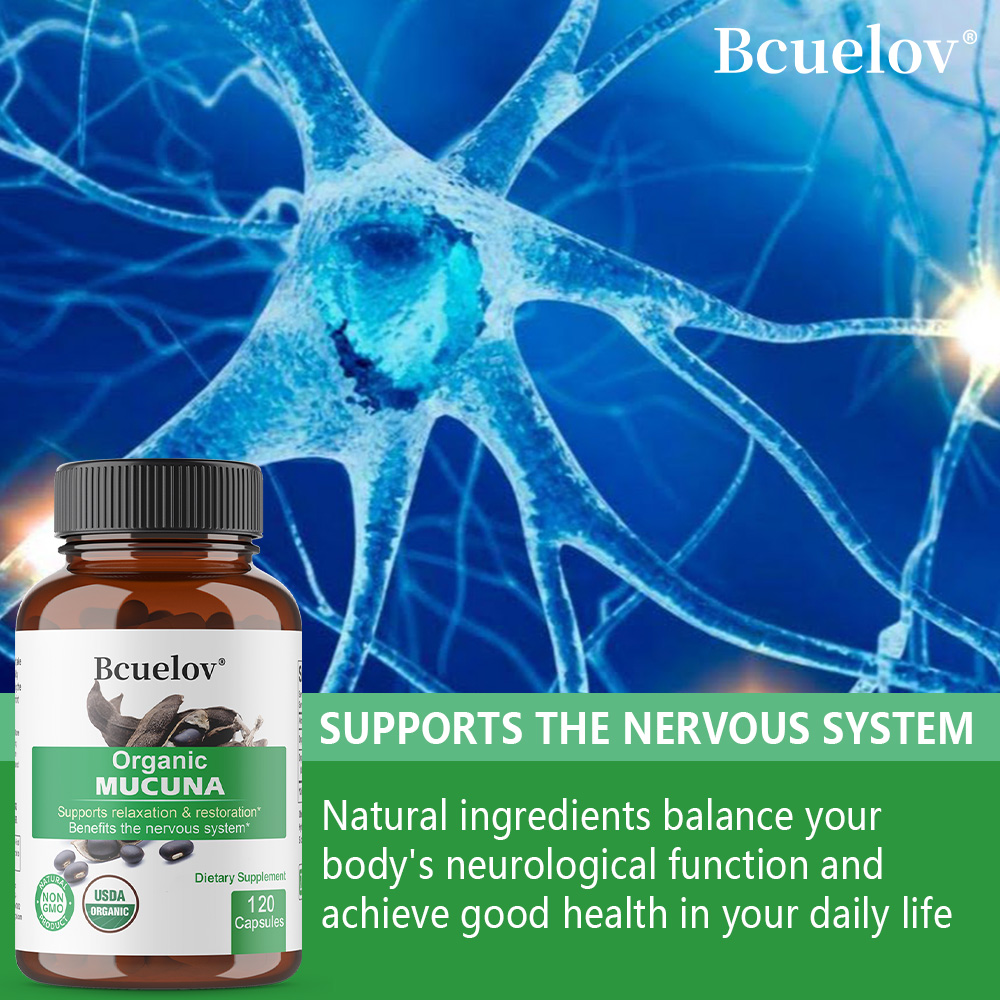 Kapsul Mucuna Organik - Menduk - Herbal Wellness Water ulasan dan harga