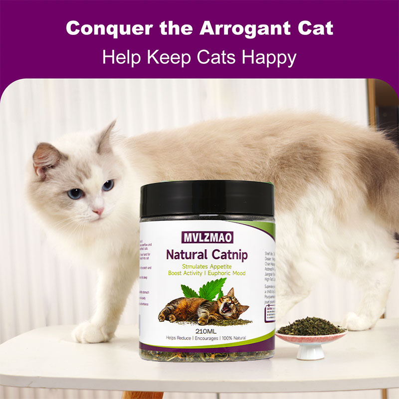 Mainan kucing-silvervine Catni - Herbal Wellness Products ulasan dan harga