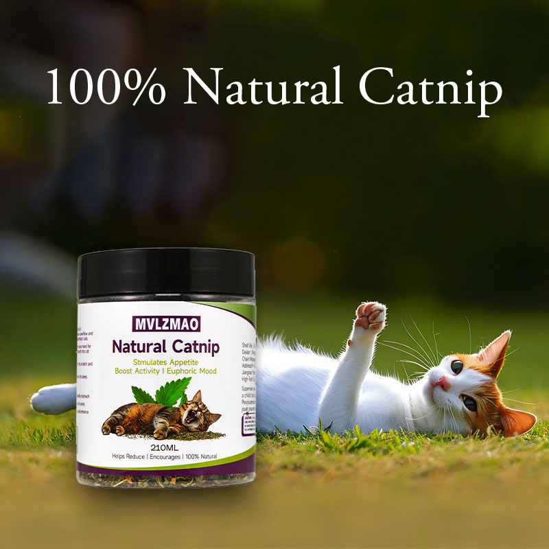 Mainan kucing-silvervine Catni - Herbal Wellness Products ulasan dan harga