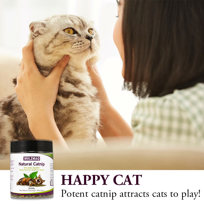 Mainan kucing-silvervine Catni - Herbal Wellness Products ulasan dan harga