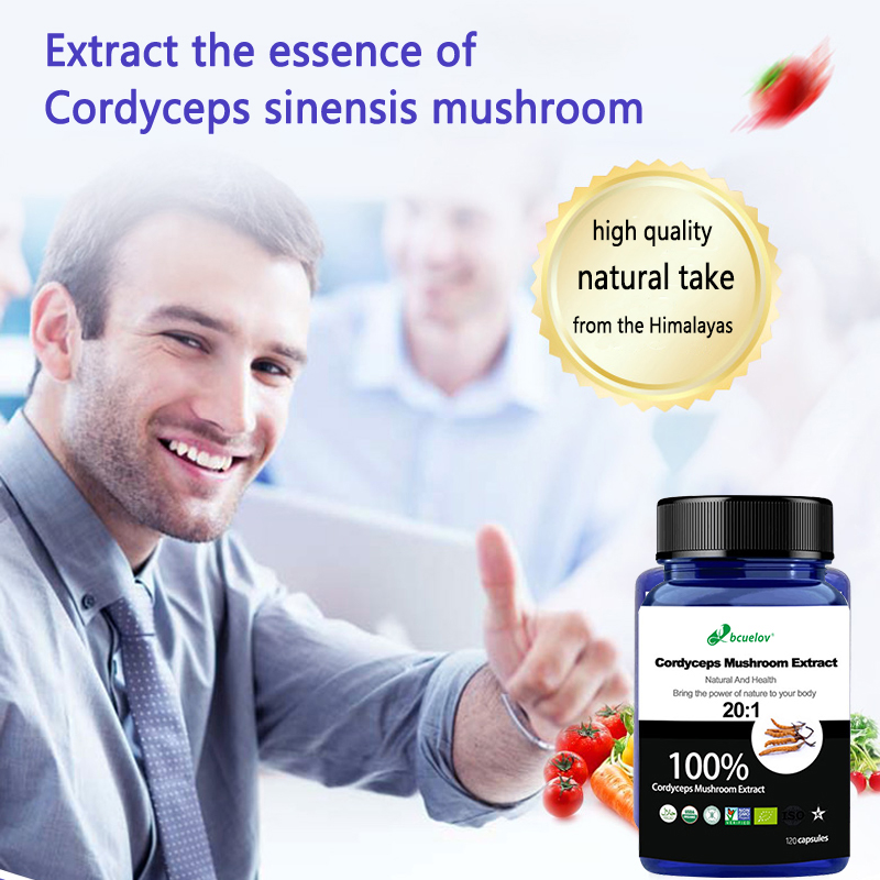 Kapsul Ekstrak Jamur Cordyceps - Herbal Wellness Water ulasan dan harga